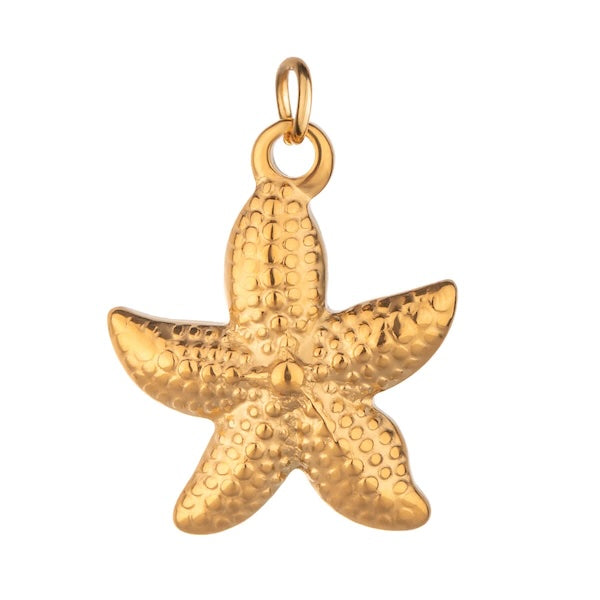 Charm étoile